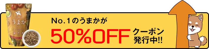 もう一度No.1商品を見る！