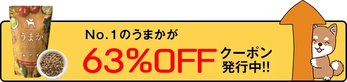 もう一度No.1商品を見る！